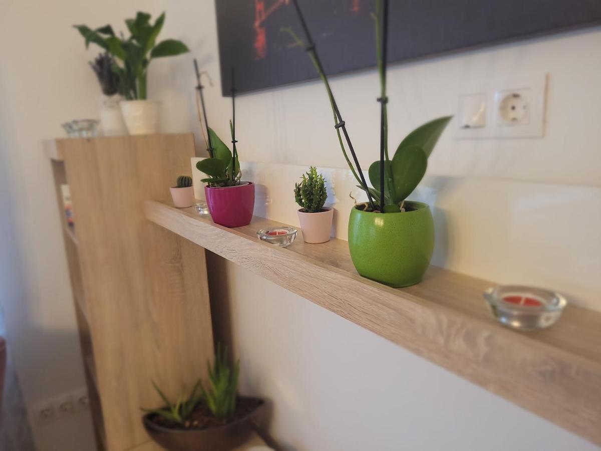 Rose Apartment Pecs Bagian luar foto
